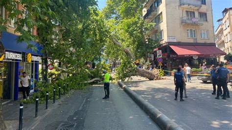 Ankarada Fırtına Sonucu Ağaç Devrildi Yol Kapandı